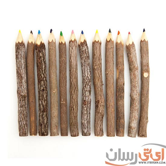 Branch-&-Twig-Assorted-Colored-Pencils15