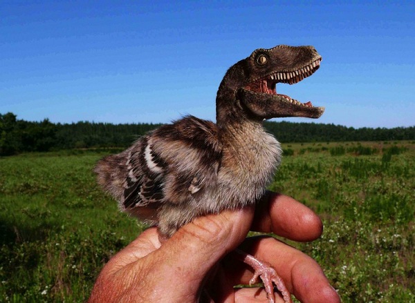 Dinosaur-Bird