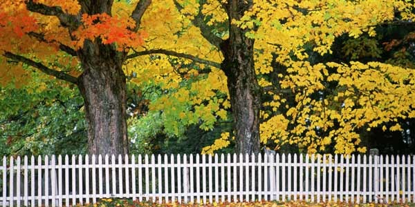 1441918907-landscape-1441754621-fall-picket-fence
