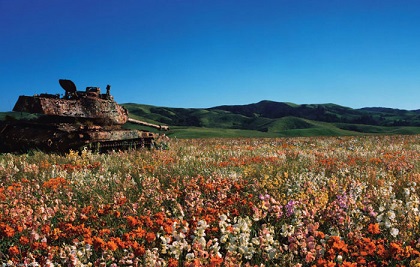 abandoned-army-tanks-that-have-become-a-part-of-nature-10