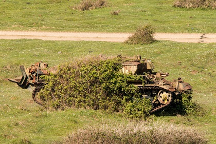 abandoned-army-tanks-that-have-become-a-part-of-nature-29