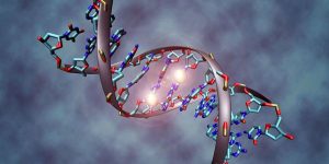 ساختن کامپیوتر با استفاده از مولکول‌های DNA امکان پذیر است