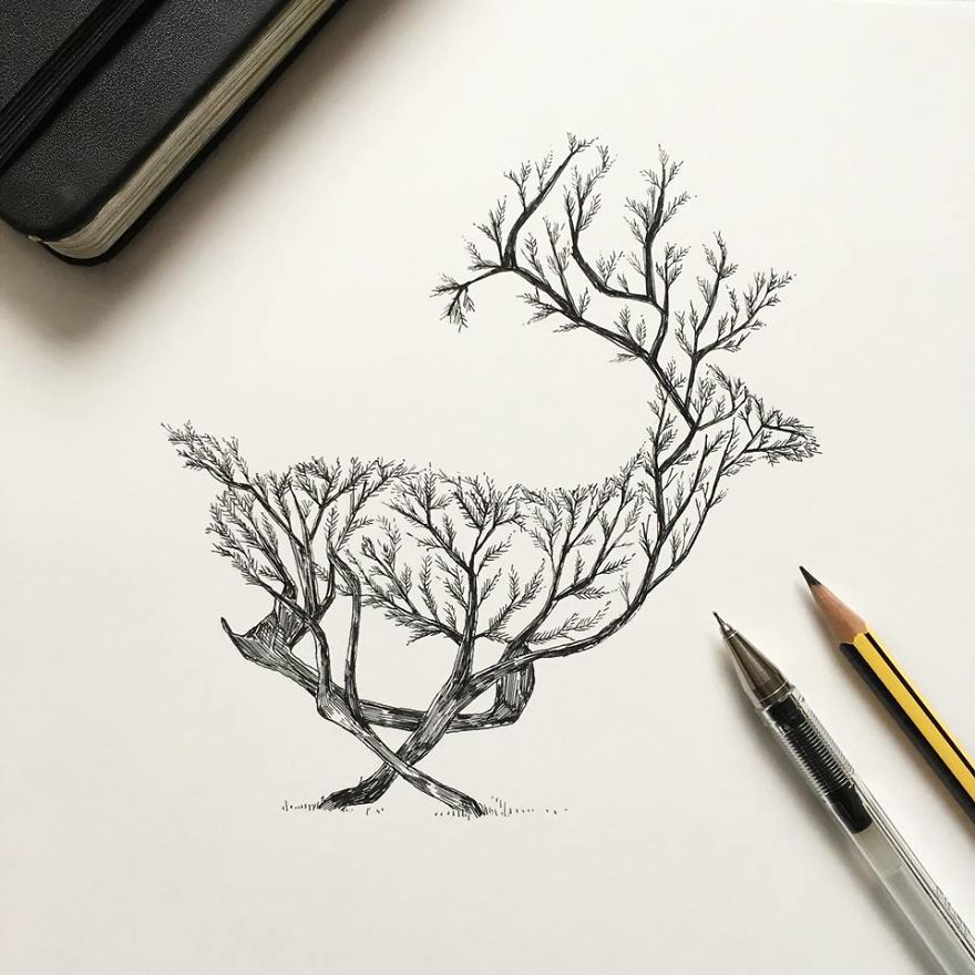 Alfred-Basha-Deer-ink-illustration-57266e291c1aa__880