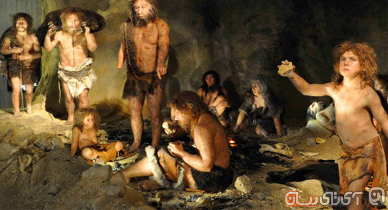 Neanderthals-Might-Have-Been-Cannibals-Fossil-Evidence-Indicates-478444-2