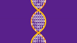 مایکروسافت با همکاری دانشگاه واشنگتن، رکورد ذخیره سازی اطلاعات در DNA را شکاند!