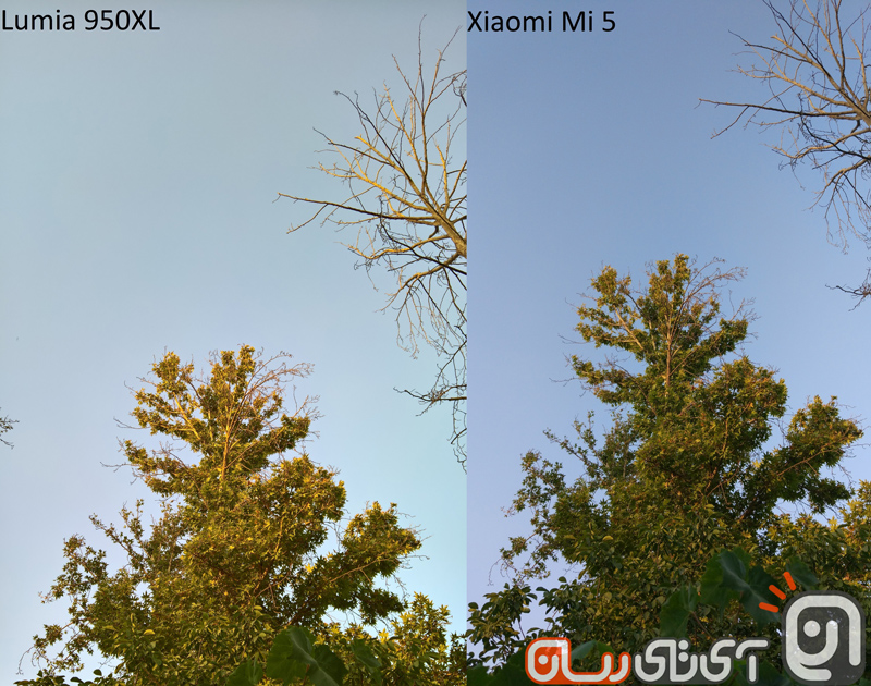 Xiaomi-Mi5-vs-Lumia-950XL11x3