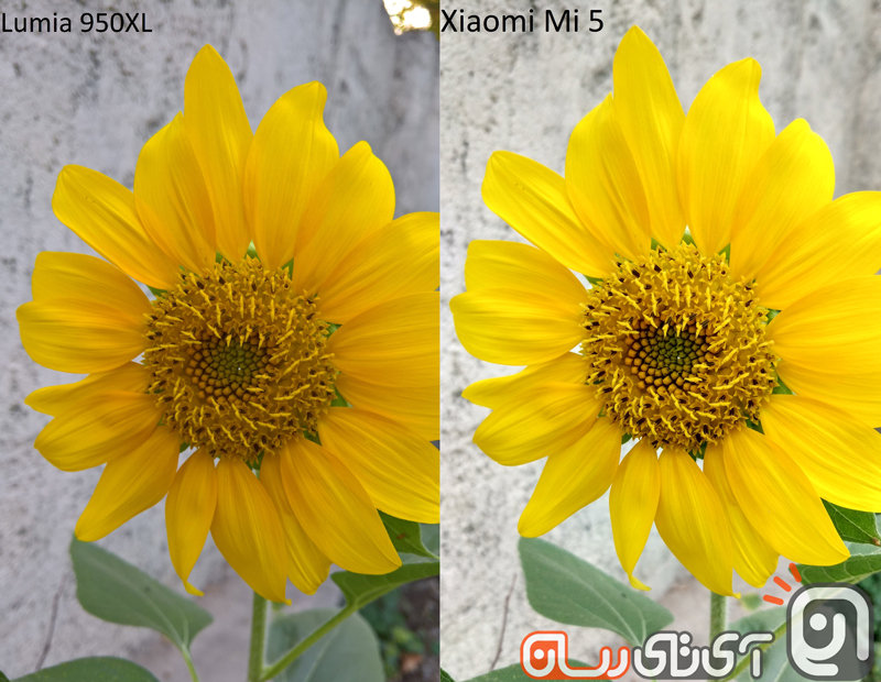 Xiaomi-Mi5-vs-Lumia-950XL125