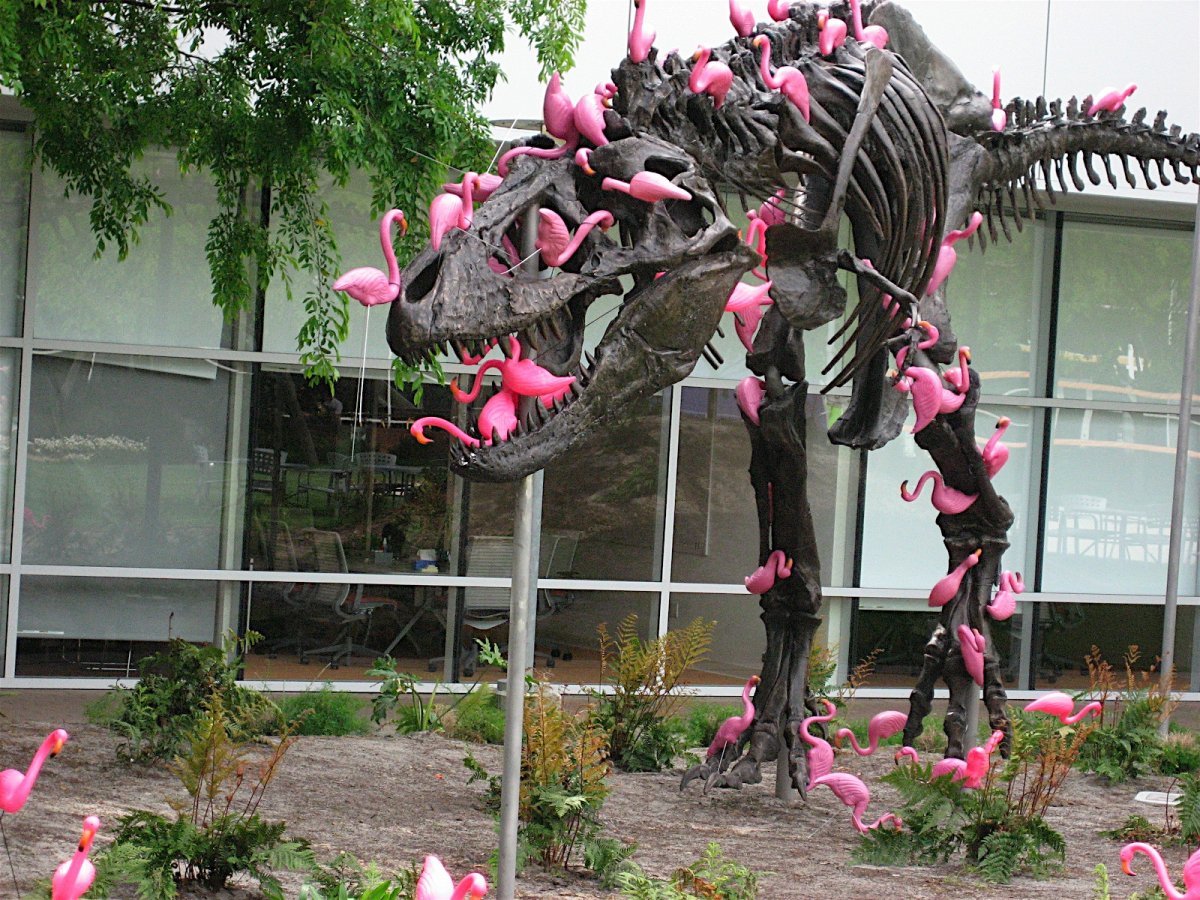 یکی از چیزهای معروف دیگر، مجسمه دایناسوری است که فلامینگوها دوره‌اش کردند. شایعه‌ای که کارکنان گوگل بیان می‌کردند این بود که این دایناسور یک یادآور برای کارمندان است که منقرض نشوید.
