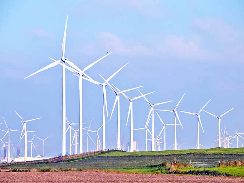 ۱-txu-energy-wind-farm-texas-free-electricity