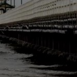 فیس بوک نزدیک بود یک نفر را به کشتن بدهد!