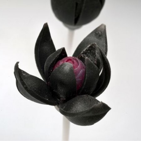 شگفت زده نشوید، این گل طبیعی نیست، فقط چاپ شده است!