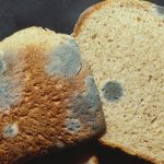 اگر نان کپک زده را بخوریم چه اتفاقی می‌افتد؟