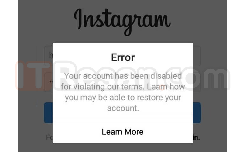 Return Instagram account