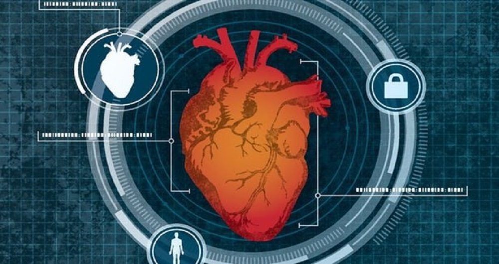 اندازه قلب به عنوان یک ویژگی امنیتی بیومتریک