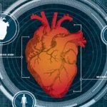 اندازه قلب به عنوان یک ویژگی امنیتی بیومتریک توسط محققان آزمایش شد