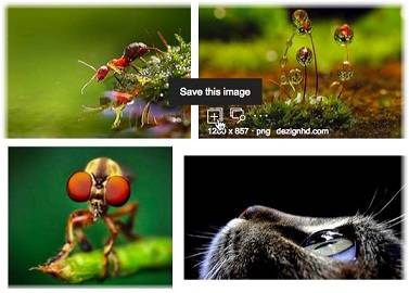 Bing-Create-Your-Feed سه ترفند جالب برای جستجوی بهتر تصاویر در بینگ  