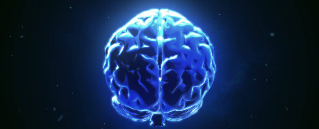 mind-scan مشاهده افکار دیگران با اتصال مغزها به یک‌دیگر!  