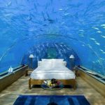 یک شب اقامت در اولین هتل زیرآبی جهان پنجاه هزار دلار هزینه دارد!