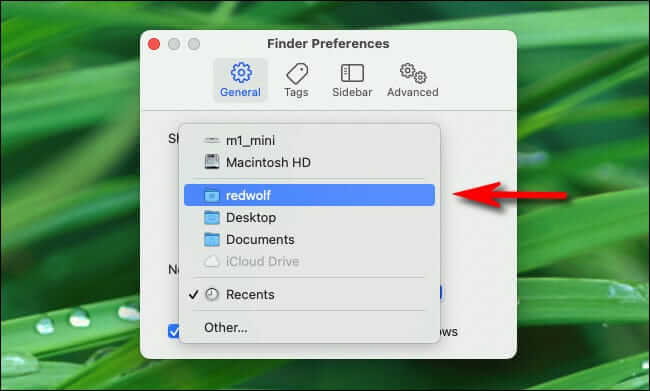 Disable the Recents folder on your Mac