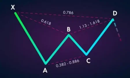 انواع الگوی هارمونیک ارز دیجیتال و معرفی کاربردی‌ترین آن‌ها