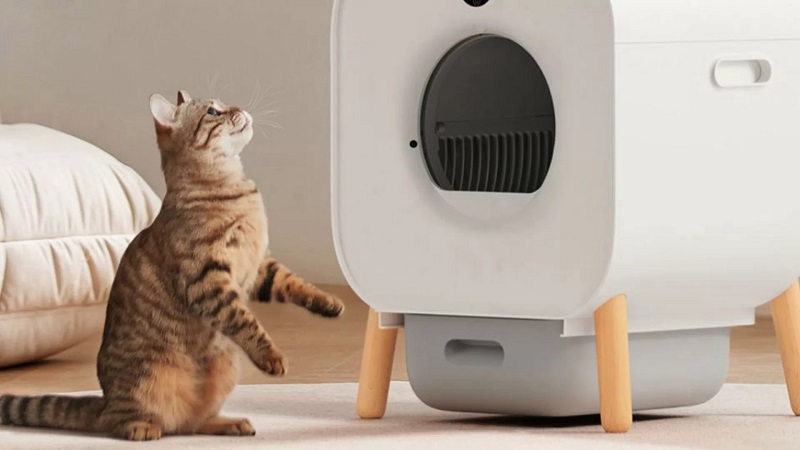 شیائومی جعبه هوشمند گربه Xiaowan را معرفی کرد