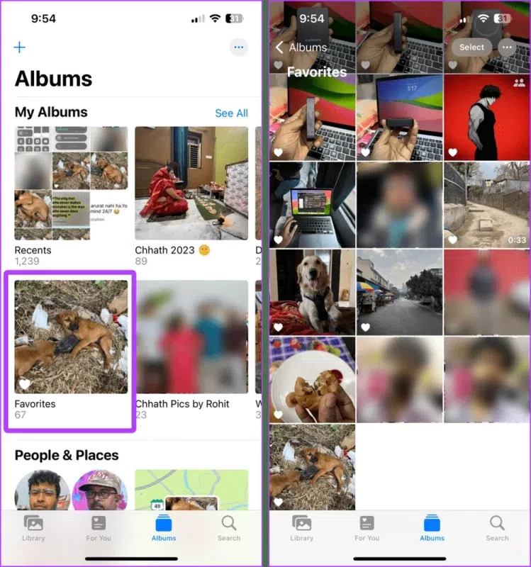 Find Your Favorite PhotosVideos result
