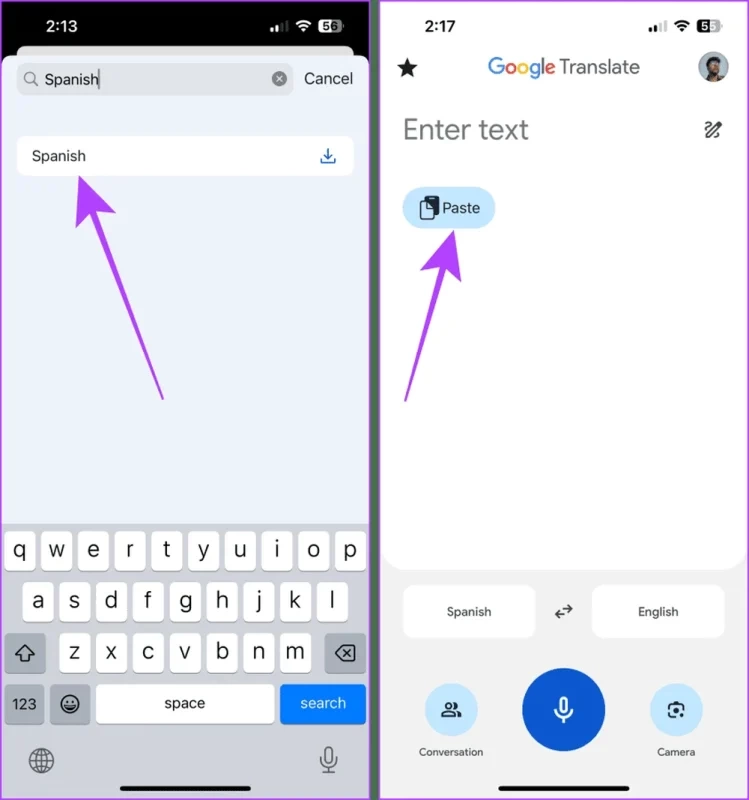 Paste Text into Google Translate App iPhone result