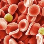 یک گروه خونی جدید پس از نیم قرن رمزگشایی شد!