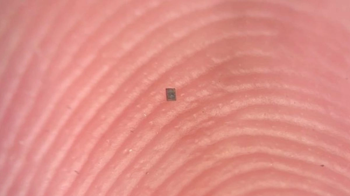 کوچک‌ترین ربات برنامه‌پذیر جهان؛ به اندازه دانه نمک!