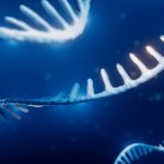 دانشمندان موجودی را کشف کردند که یک قانون اساسی در حیات را نقض می‌کند