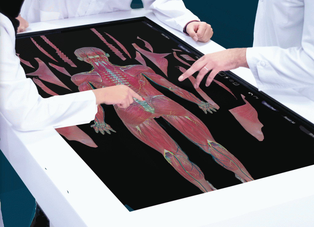 میز تشریح مجازی