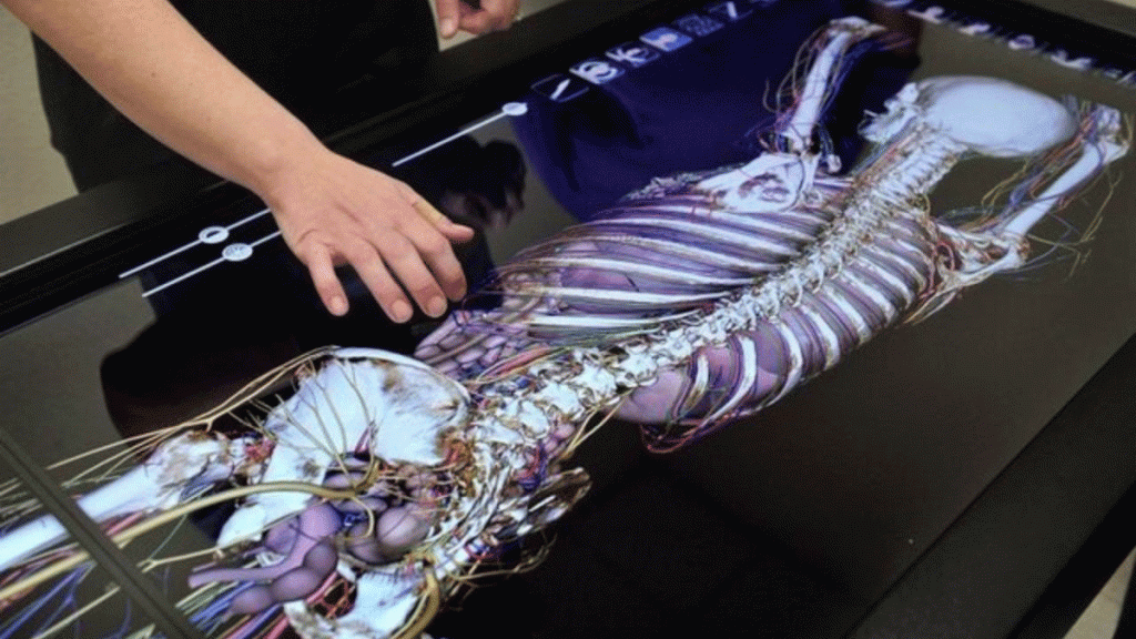 میز تشریح مجازی