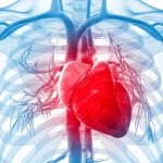 بافت سه‌بعدی قلب