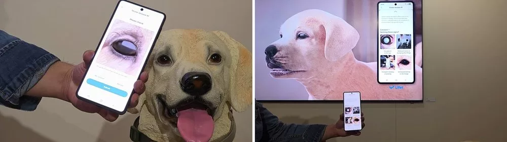 Pet Care