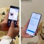 Pet Care