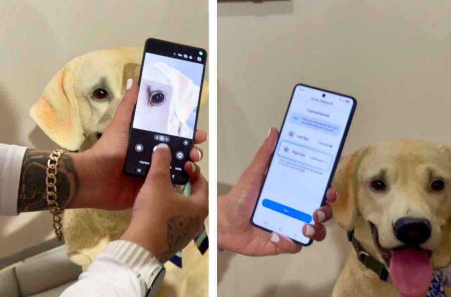 Pet Care